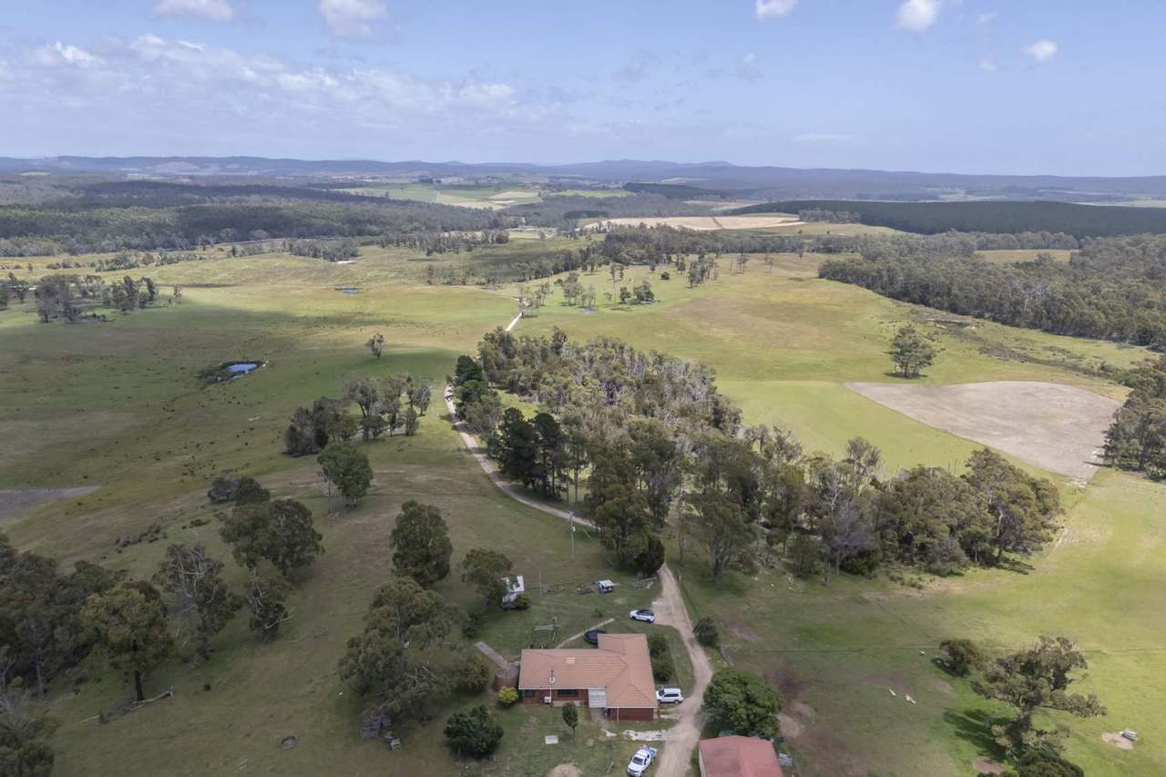 63 Red Road, Pipers River For Sale by Farmbuy.com - image 5