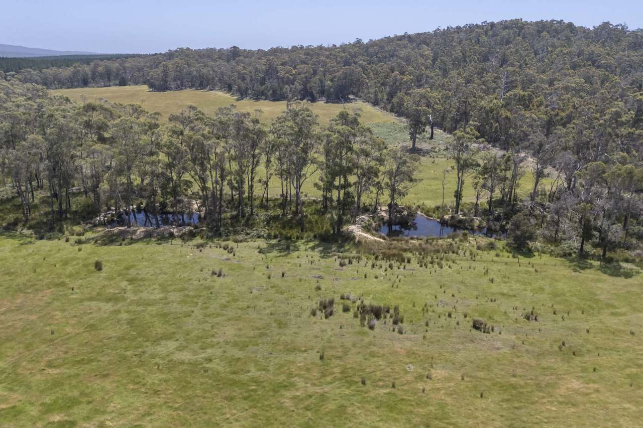 63 Red Road, Pipers River For Sale by Farmbuy.com - image 29