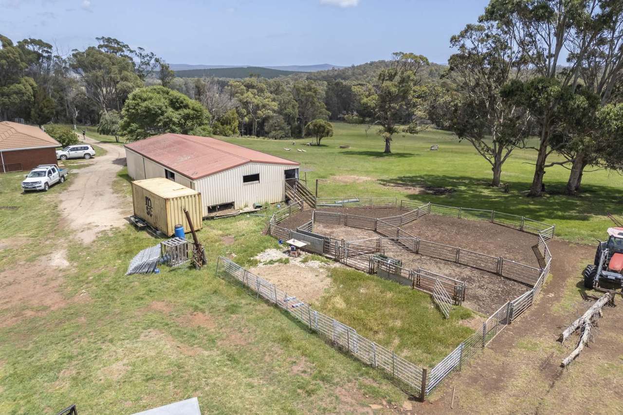 63 Red Road, Pipers River For Sale by Farmbuy.com - image 20