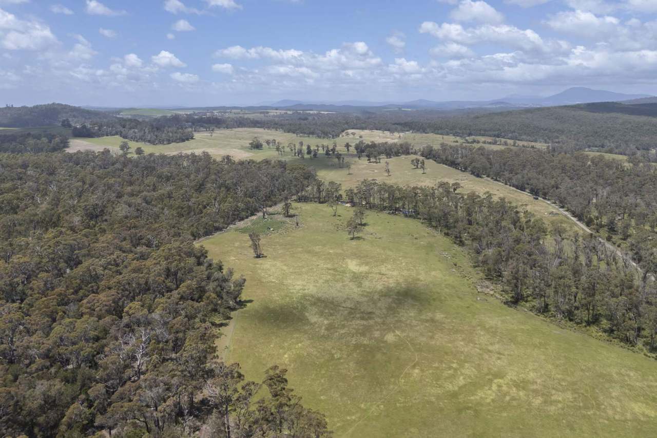 63 Red Road, Pipers River For Sale by Farmbuy.com - image 27