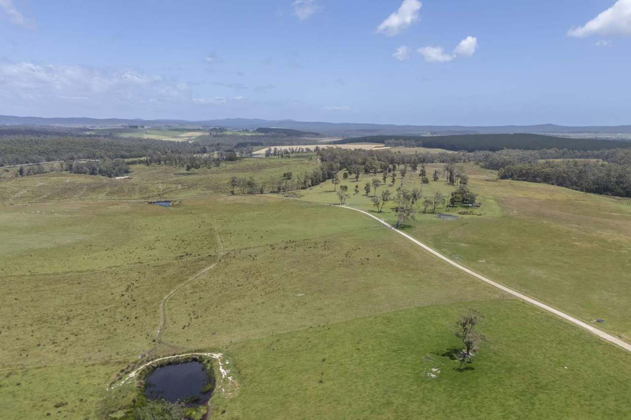 63 Red Road, Pipers River For Sale by Farmbuy.com - image 24