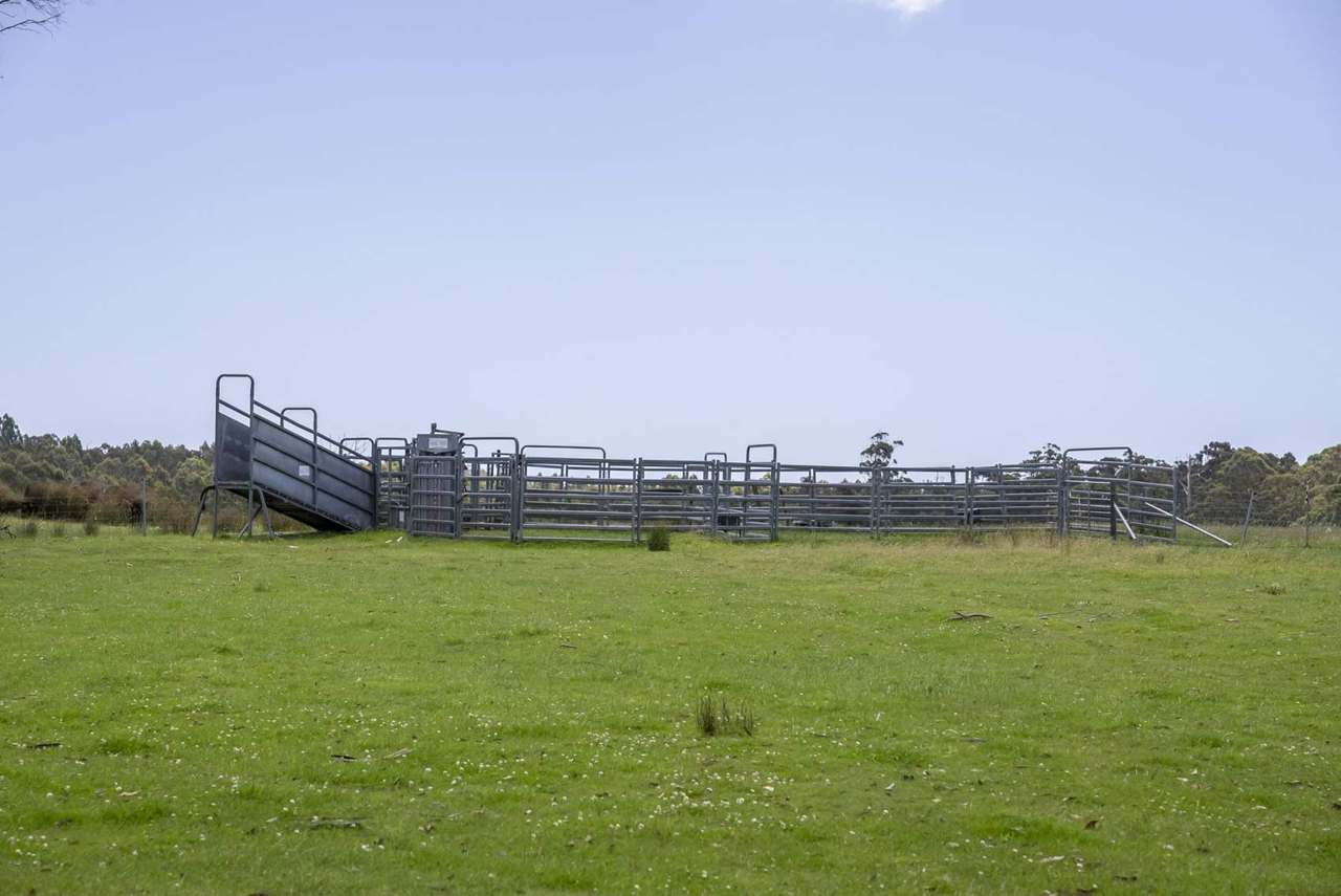 63 Red Road, Pipers River For Sale by Farmbuy.com - image 21