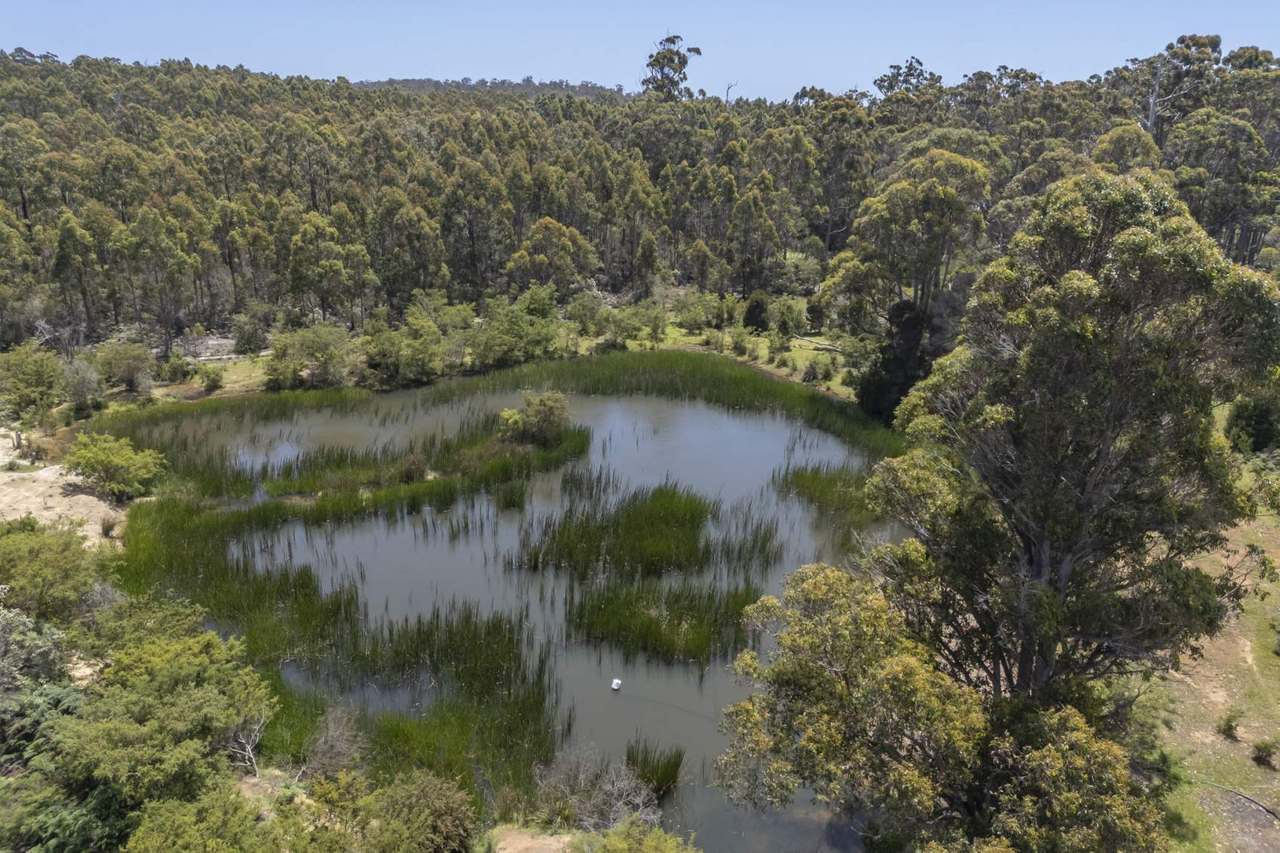 63 Red Road, Pipers River For Sale by Farmbuy.com - image 18
