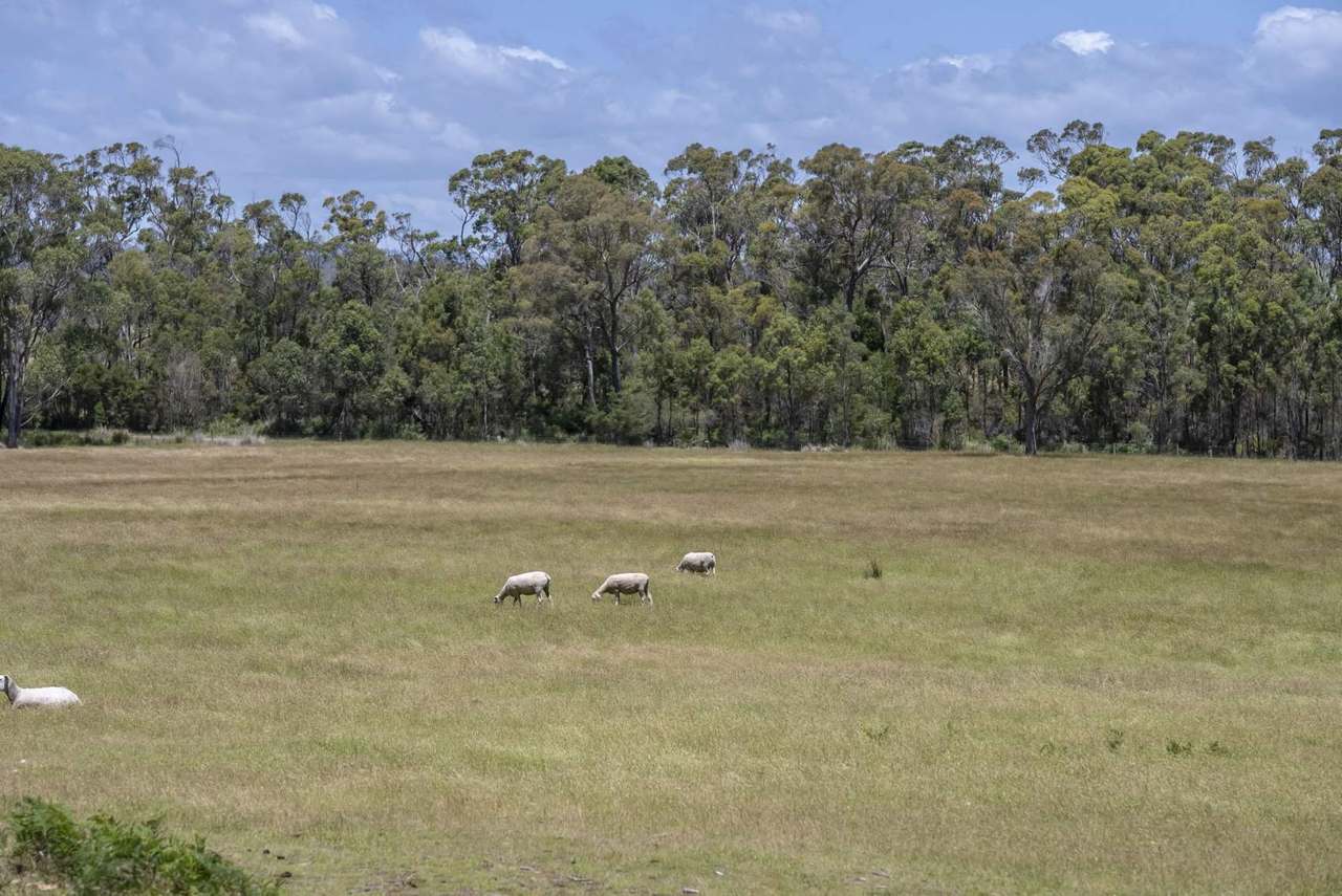 63 Red Road, Pipers River For Sale by Farmbuy.com - image 3
