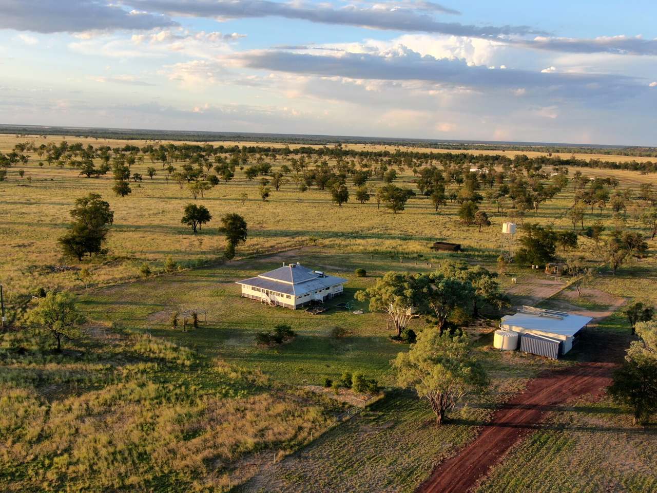 537 Surat Development Road, Surat Sold by Farmbuy.com - image 11