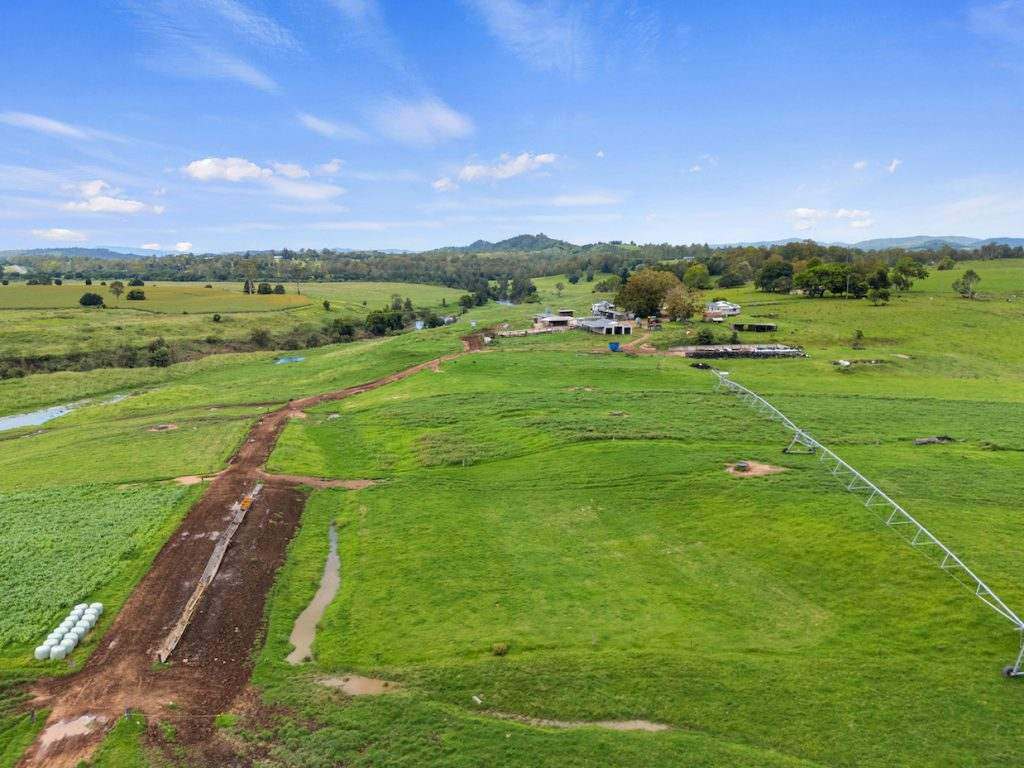 Amamoor For Sale by Farmbuy.com - image 20