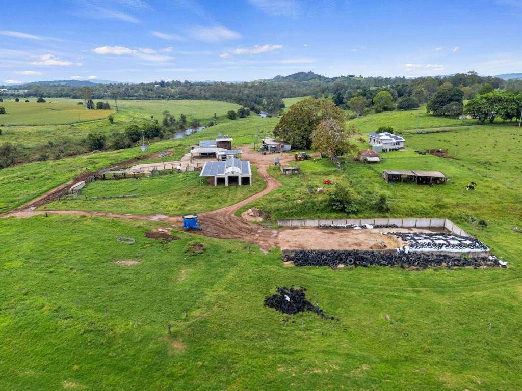 Amamoor For Sale by Farmbuy.com - image 7