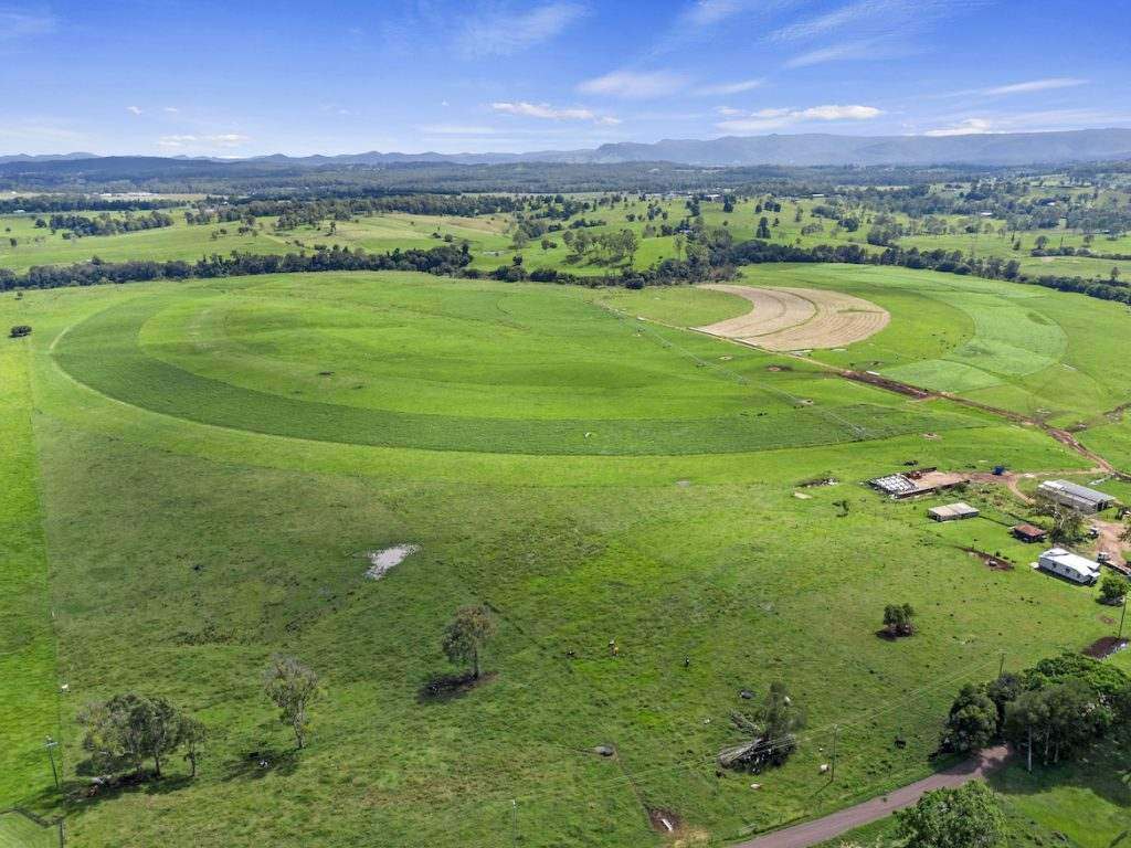 Amamoor For Sale by Farmbuy.com - image 4