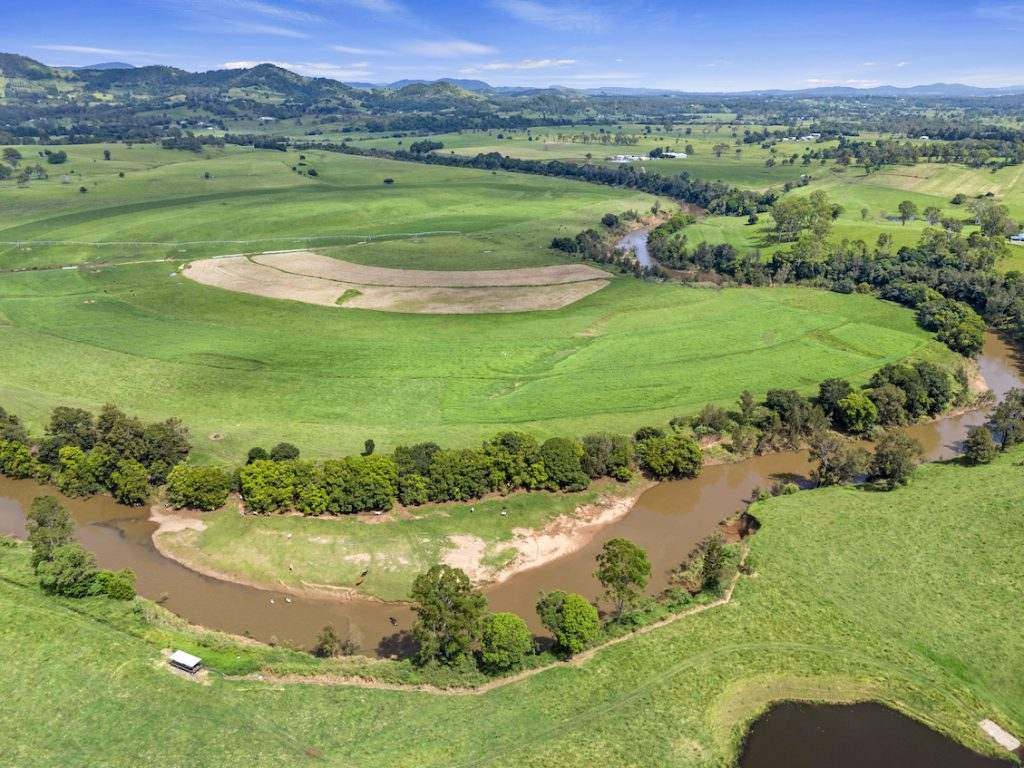 Amamoor For Sale by Farmbuy.com - image 12