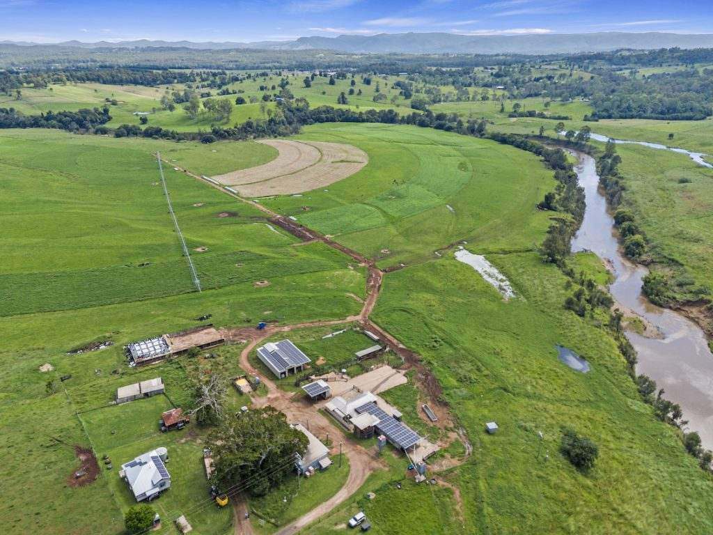Amamoor For Sale by Farmbuy.com - image 6