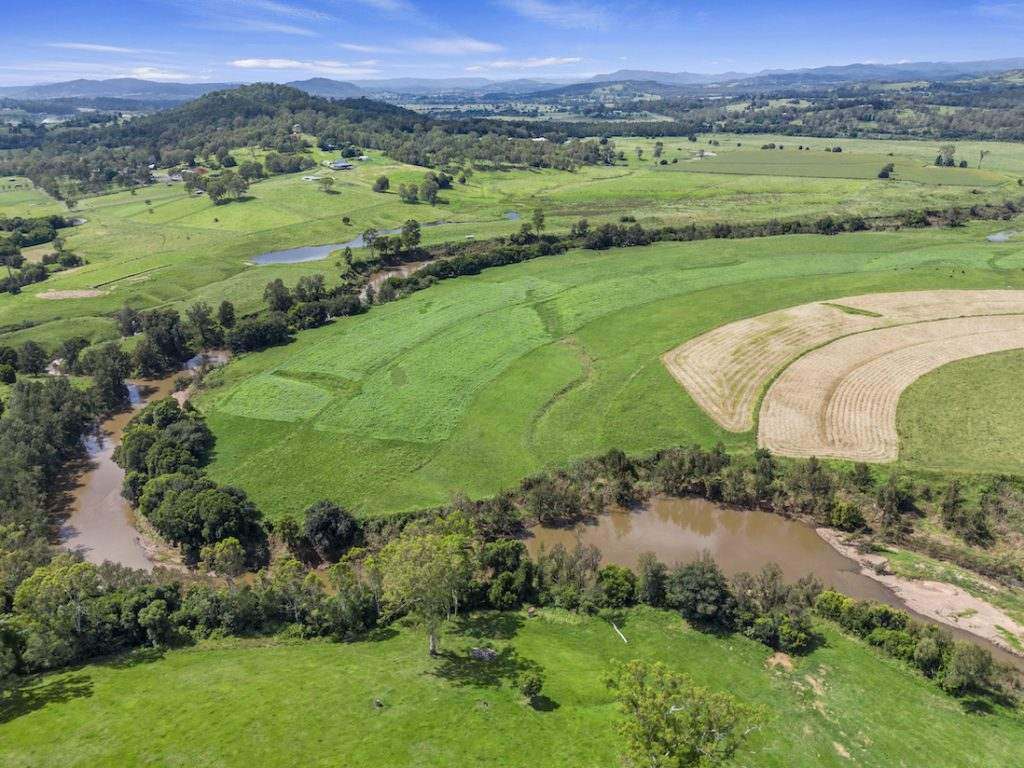 Amamoor For Sale by Farmbuy.com - image 10
