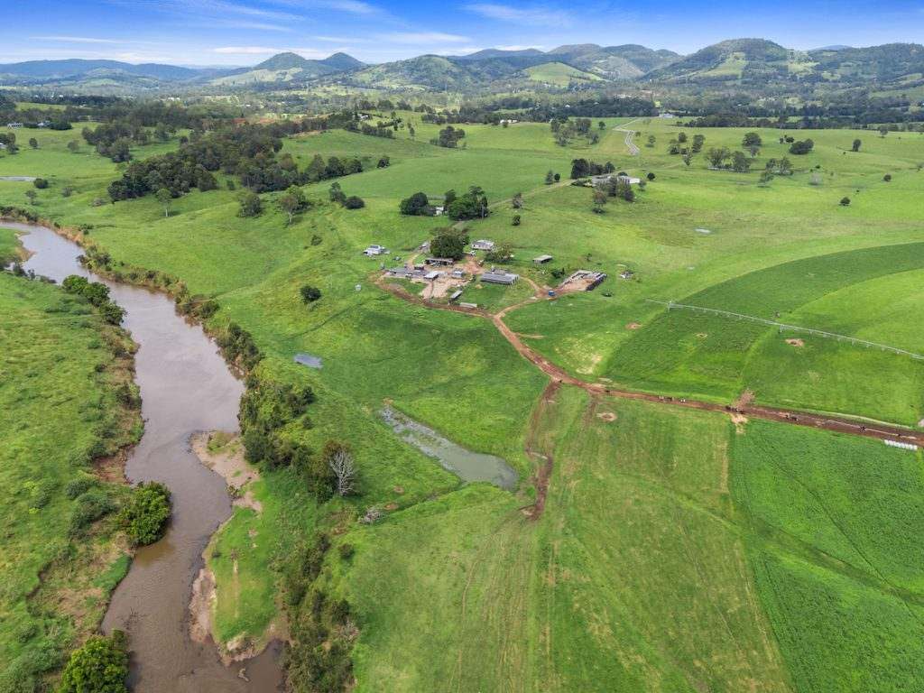 Amamoor For Sale by Farmbuy.com - image 15