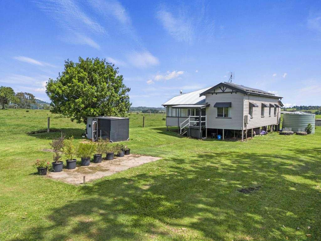 Amamoor For Sale by Farmbuy.com - image 5