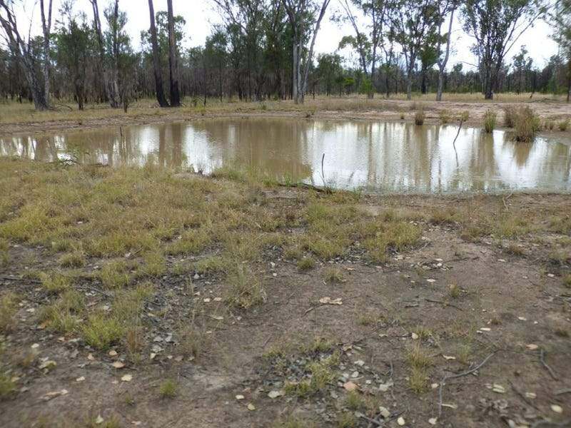 201 Emu Parade, TARA For Sale by Farmbuy.com - image 13