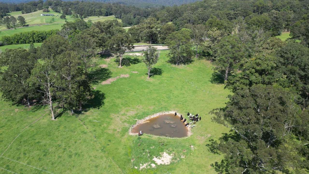 124  & 124A Grafton Street, Nana Glen  For Sale by Farmbuy.com - image 12