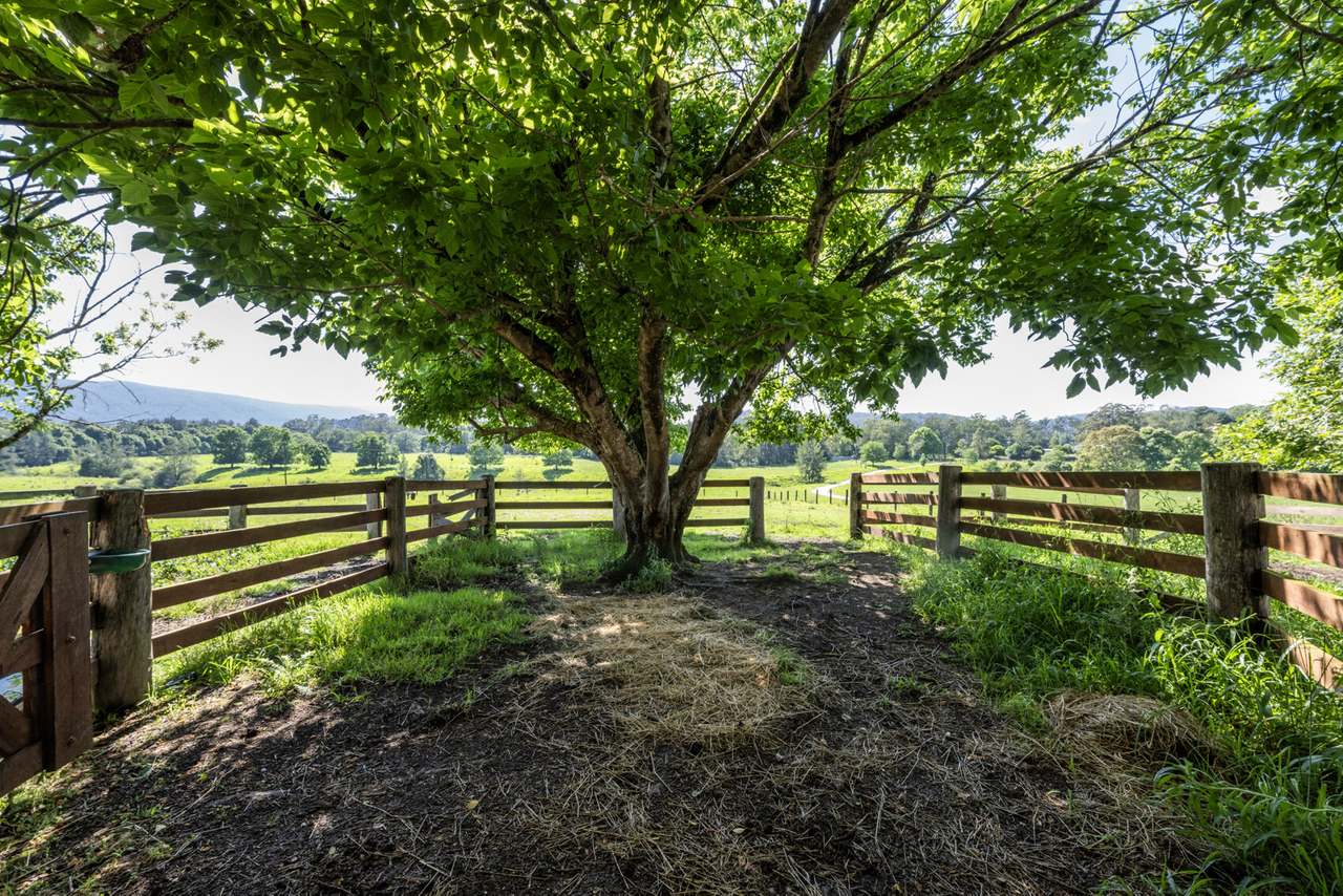 124  & 124A Grafton Street, Nana Glen  For Sale by Farmbuy.com - image 19