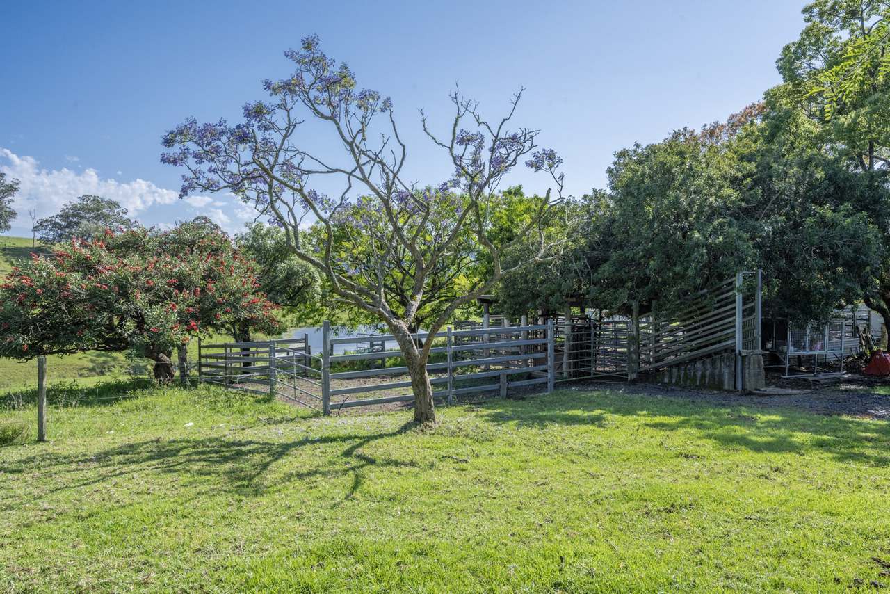 124  & 124A Grafton Street, Nana Glen  For Sale by Farmbuy.com - image 18