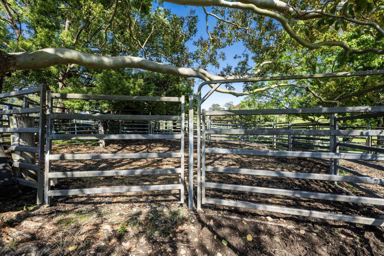 124  & 124A Grafton Street, Nana Glen  For Sale by Farmbuy.com - image 22