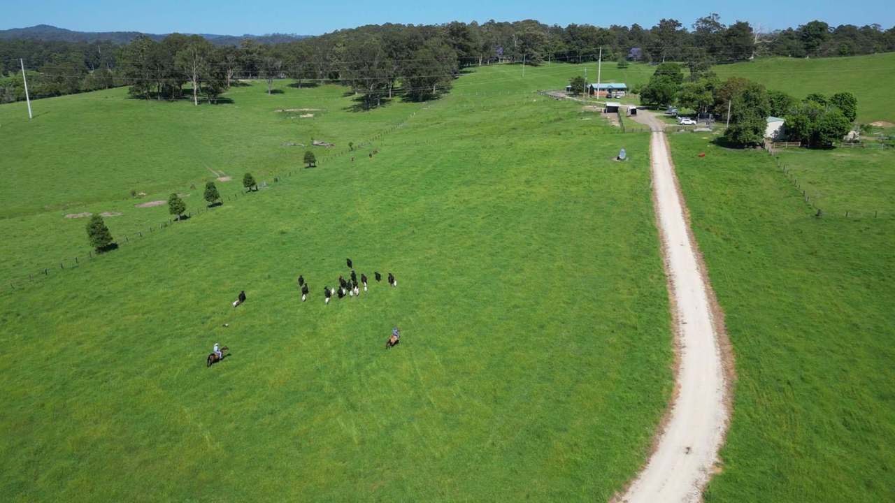124  & 124A Grafton Street, Nana Glen  For Sale by Farmbuy.com - image 8