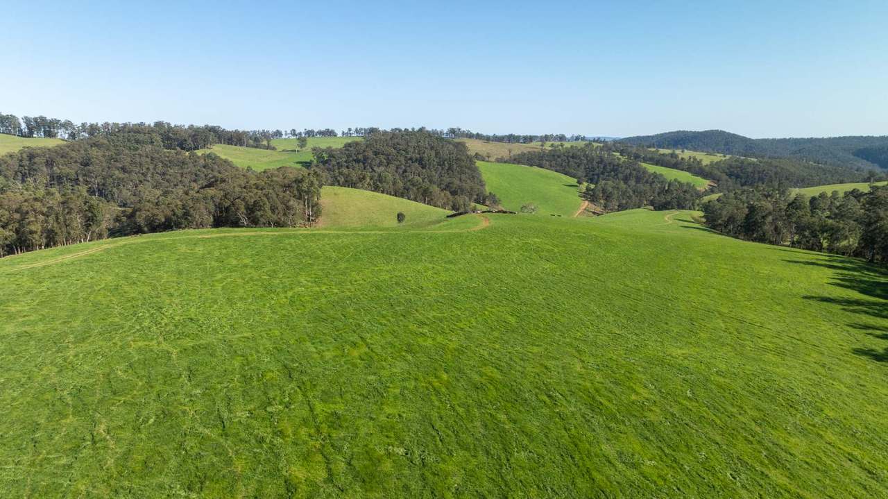1292 Kangaroo Flat Road, Yarrowitch For Sale by Farmbuy.com - image 6