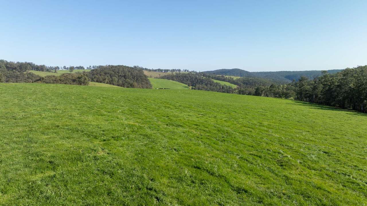 1292 Kangaroo Flat Road, Yarrowitch For Sale by Farmbuy.com - image 5