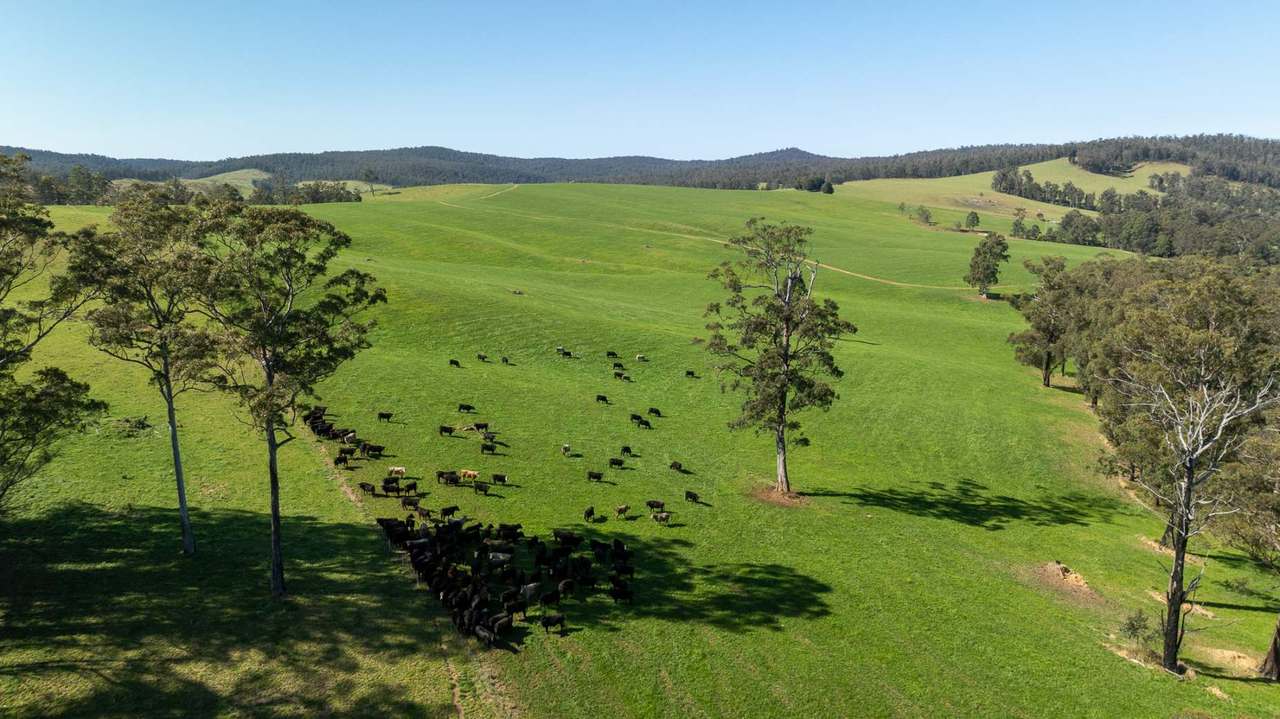 1292 Kangaroo Flat Road, Yarrowitch For Sale by Farmbuy.com - image 1
