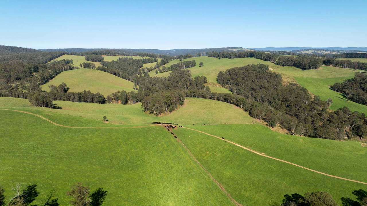 1292 Kangaroo Flat Road, Yarrowitch For Sale by Farmbuy.com - image 3