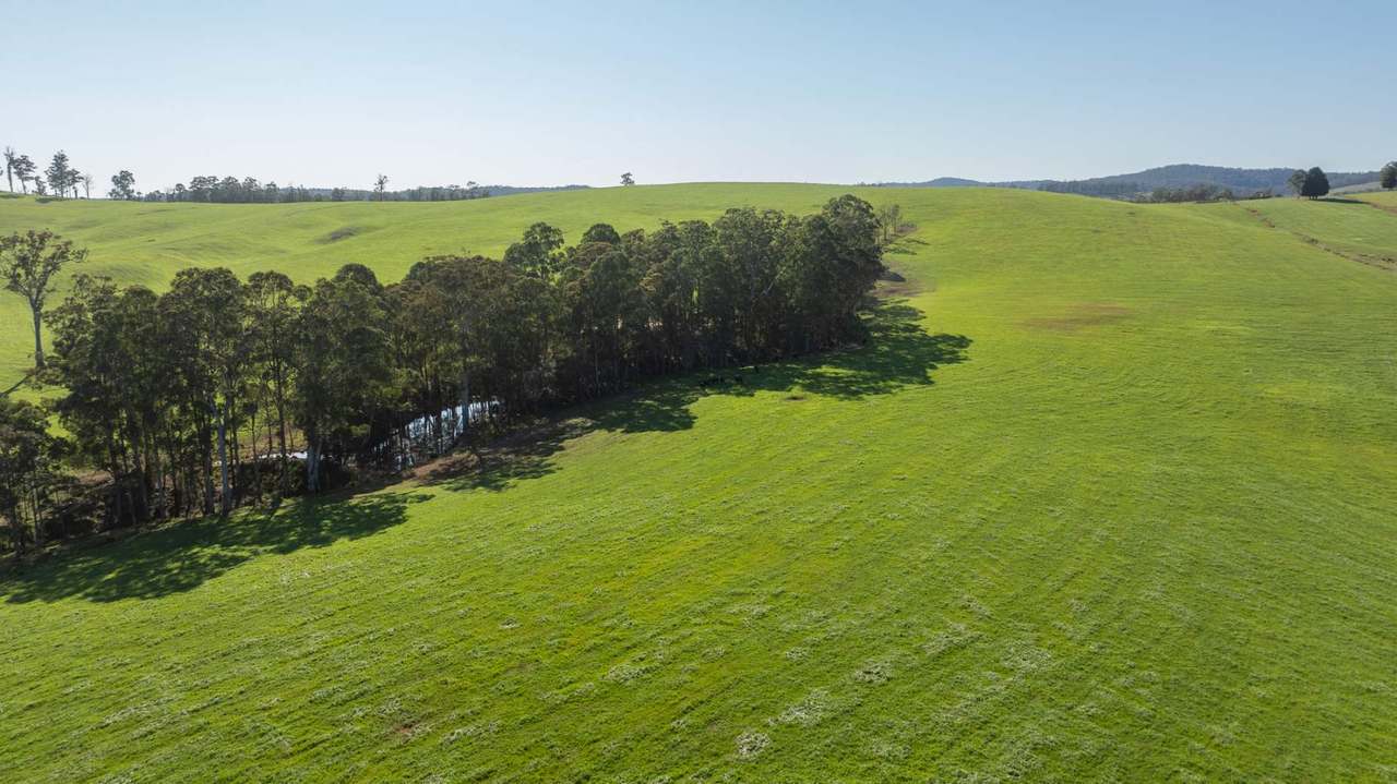 1292 Kangaroo Flat Road, Yarrowitch For Sale by Farmbuy.com - image 4