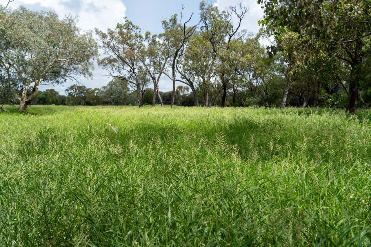 "Valera Vale" 697 Valera Vale Road, Augathella Sold by Farmbuy.com - image 8