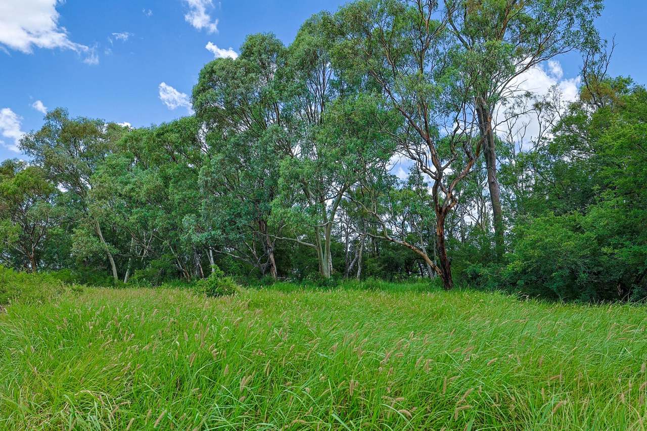 2165 Craven Road , Alpha Sold by Farmbuy.com - image 8