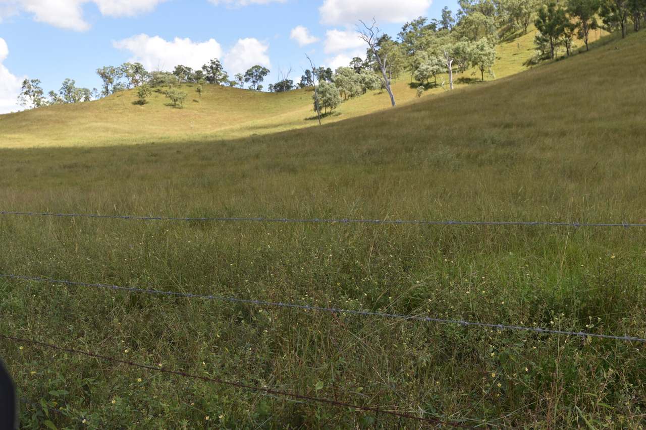 Western Branch Road, Mount Stanley For Sale by Farmbuy.com - image 28