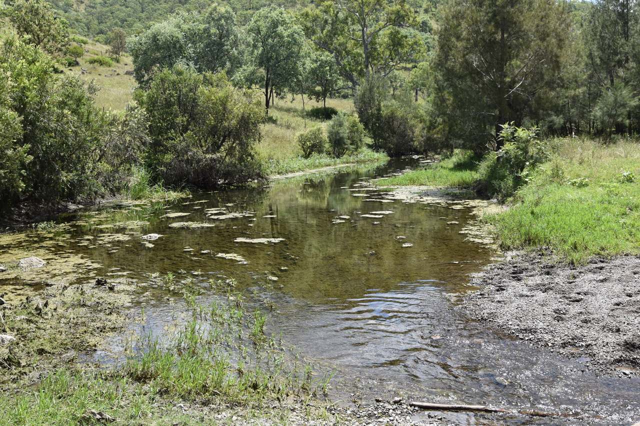 Western Branch Road, Mount Stanley For Sale by Farmbuy.com - image 8