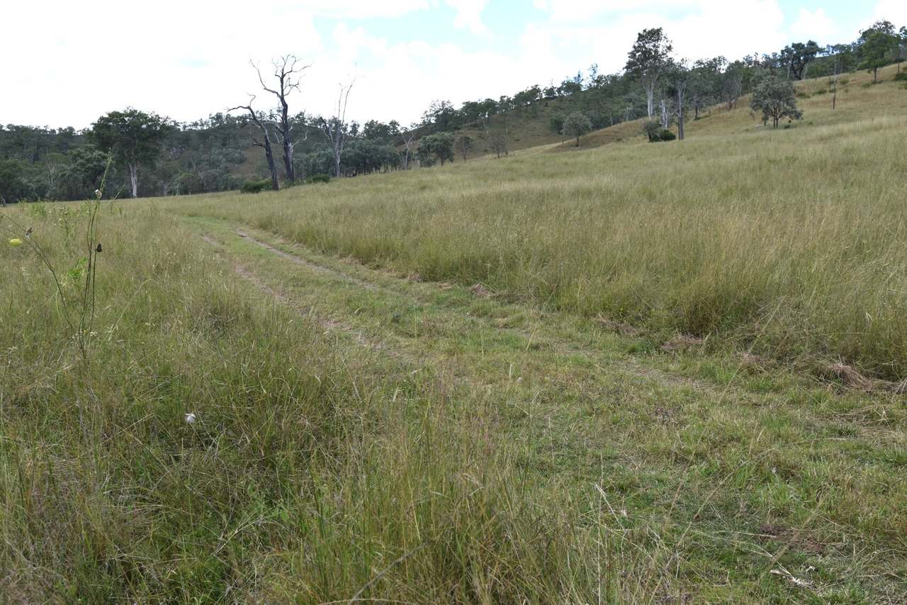 Western Branch Road, Mount Stanley For Sale by Farmbuy.com - image 27