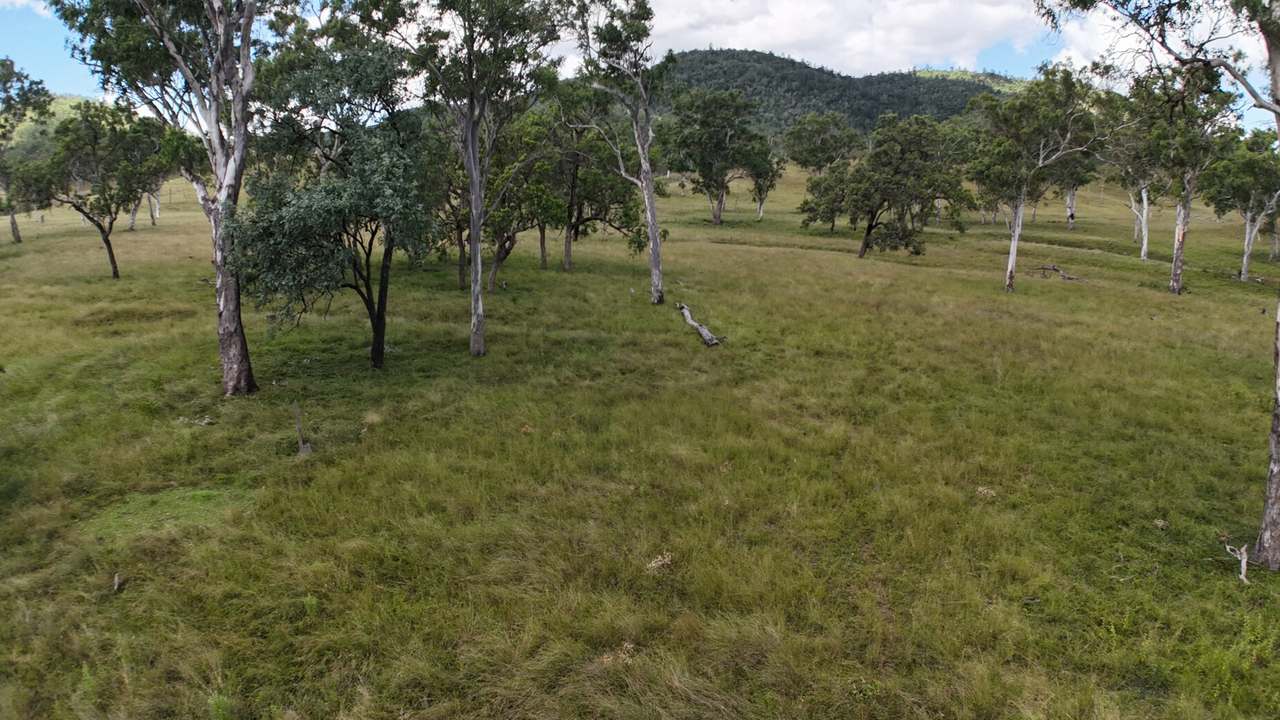 Western Branch Road, Mount Stanley For Sale by Farmbuy.com - image 17