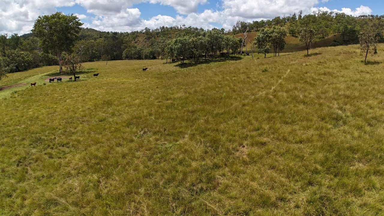 Western Branch Road, Mount Stanley For Sale by Farmbuy.com - image 25