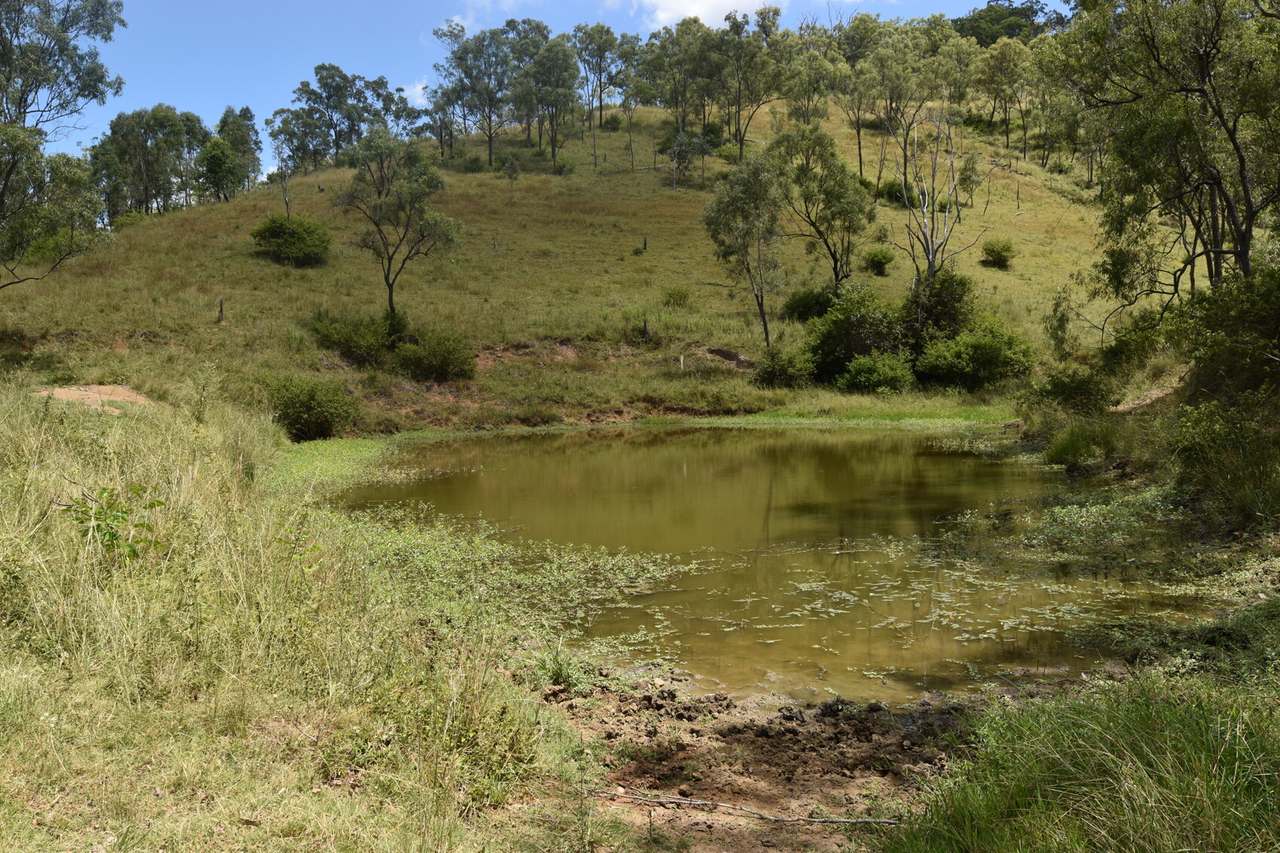 Western Branch Road, Mount Stanley For Sale by Farmbuy.com - image 14