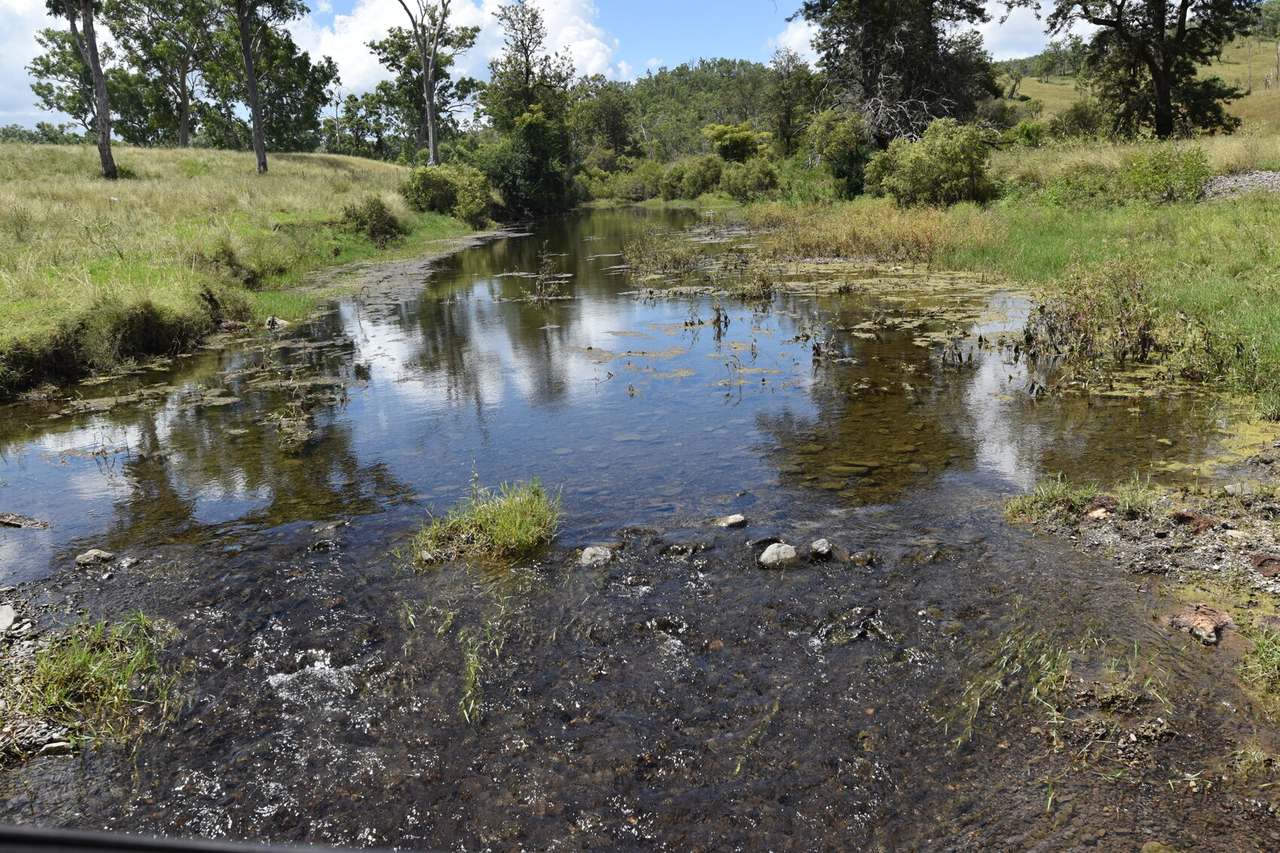 Western Branch Road, Mount Stanley For Sale by Farmbuy.com - image 10