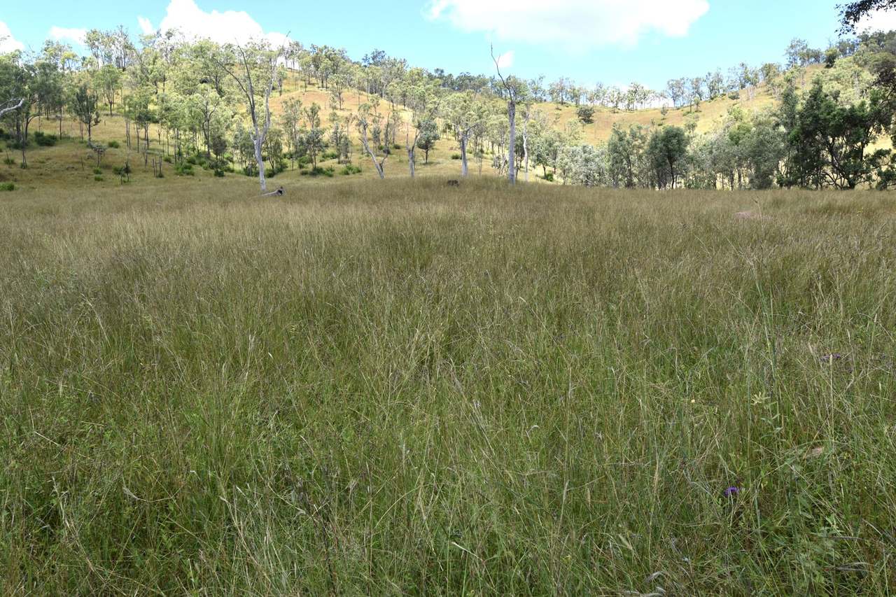 Western Branch Road, Mount Stanley For Sale by Farmbuy.com - image 18