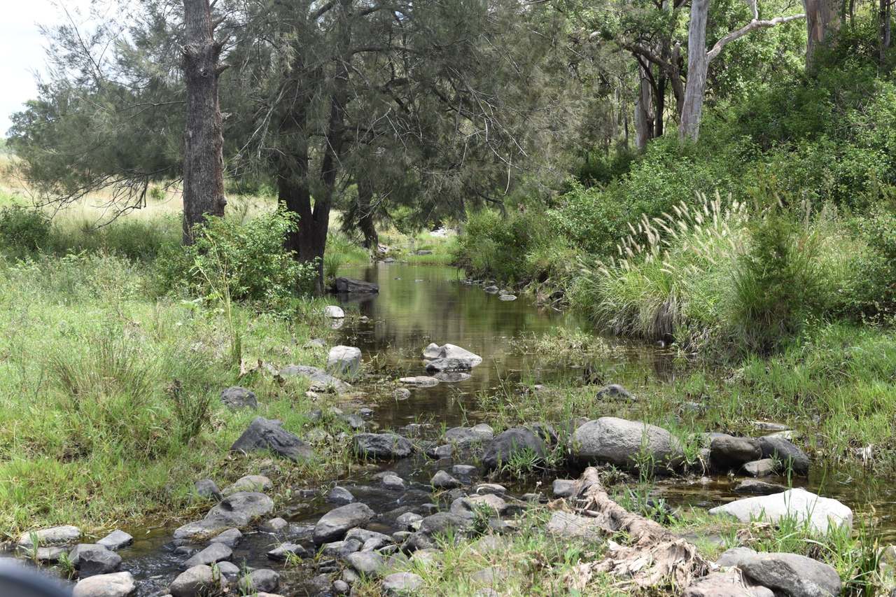 Western Branch Road, Mount Stanley For Sale by Farmbuy.com - image 9