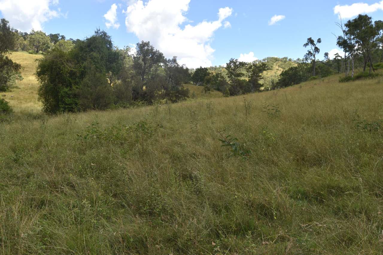 Western Branch Road, Mount Stanley For Sale by Farmbuy.com - image 32