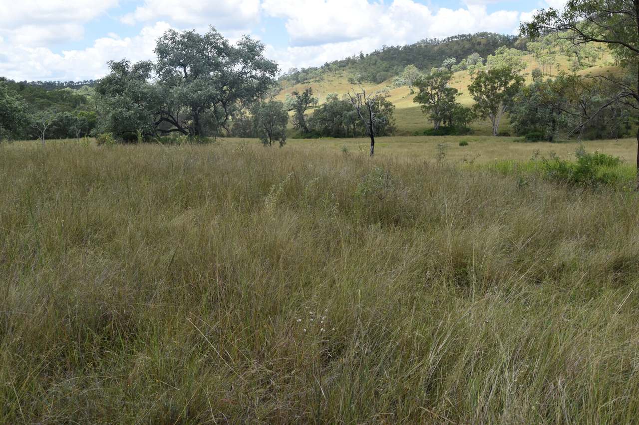 Western Branch Road, Mount Stanley For Sale by Farmbuy.com - image 15