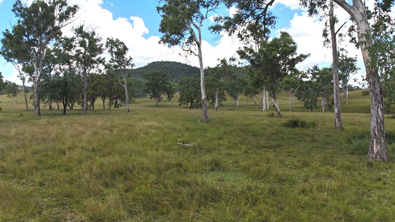 Western Branch Road, Mount Stanley For Sale by Farmbuy.com - image 30