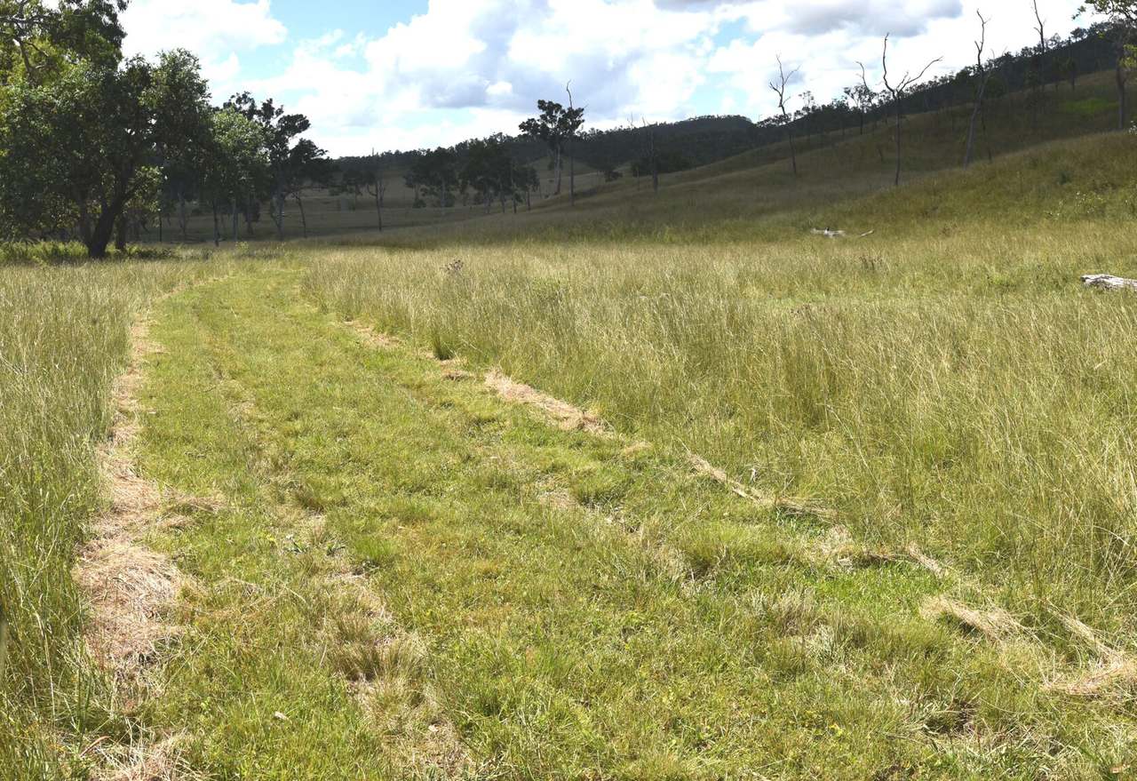 Western Branch Road, Mount Stanley For Sale by Farmbuy.com - image 29