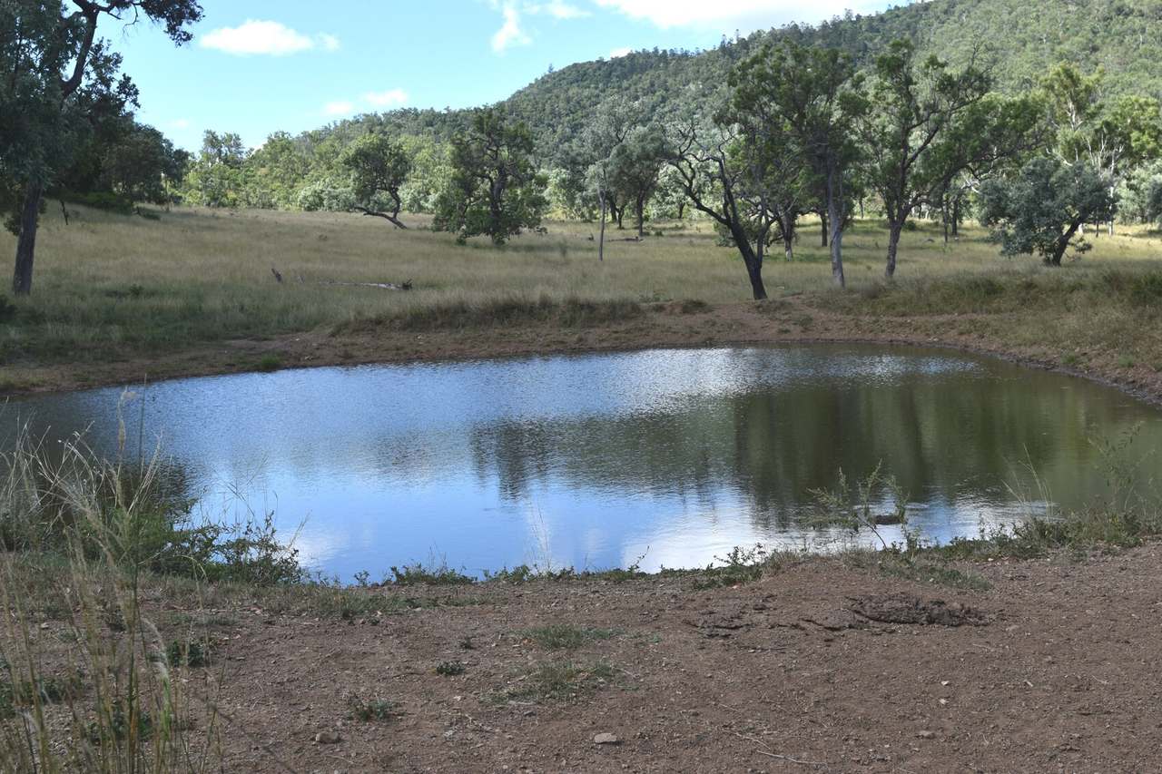 Western Branch Road, Mount Stanley For Sale by Farmbuy.com - image 13