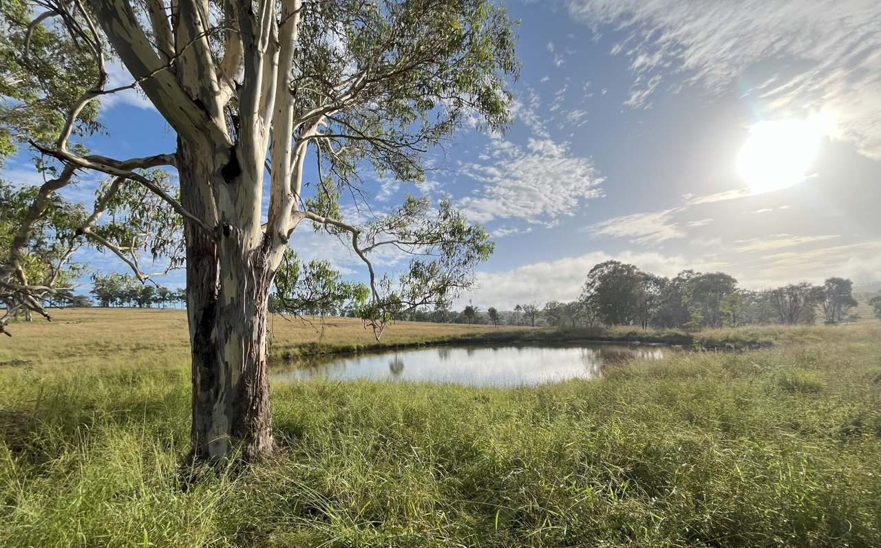 29 Runnymede Estate East Road, Runnymede For Sale by Farmbuy.com - image 2