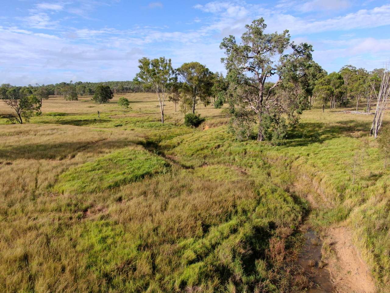 29 Runnymede Estate East Road, Runnymede For Sale by Farmbuy.com - image 7