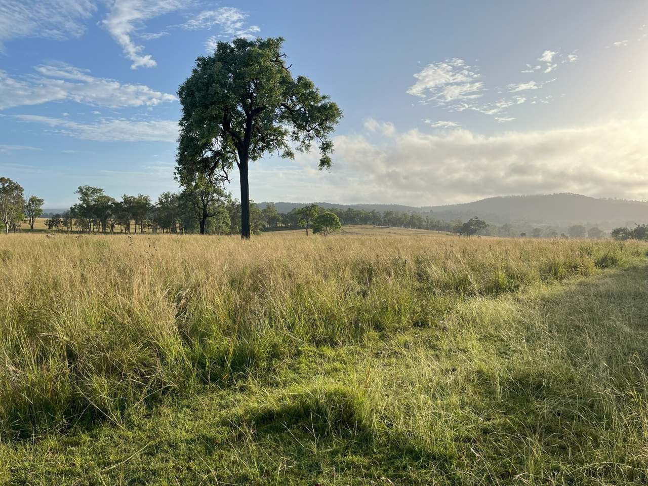 29 Runnymede Estate East Road, Runnymede For Sale by Farmbuy.com - image 10