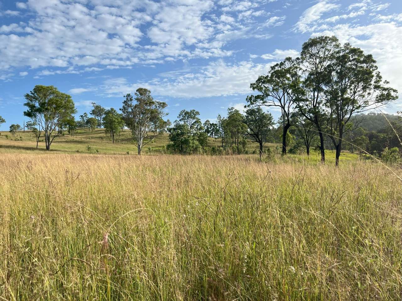 29 Runnymede Estate East Road, Runnymede For Sale by Farmbuy.com - image 17