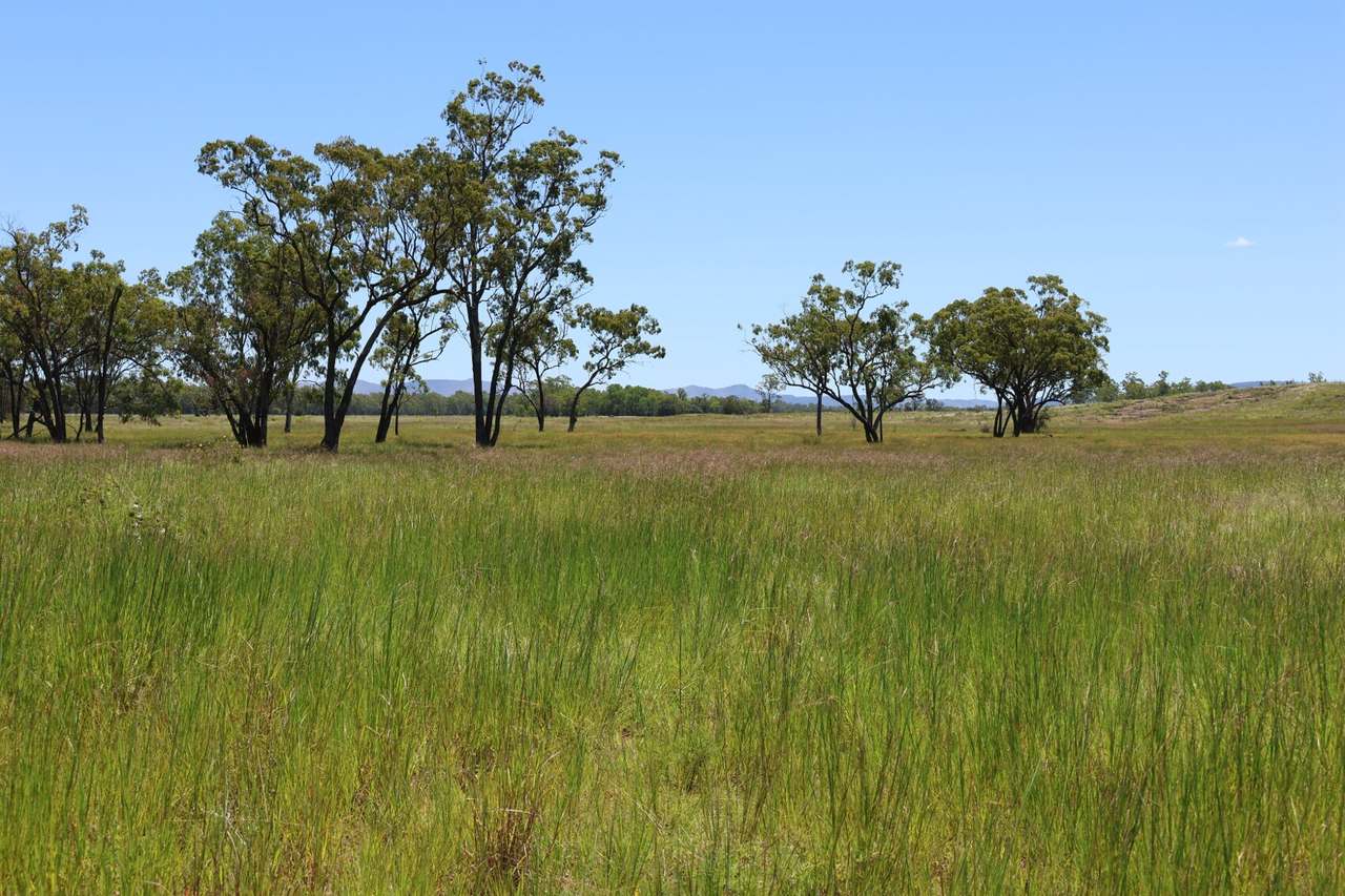 32221 Capricorn Highway, Willows Sold by Farmbuy.com - image 6