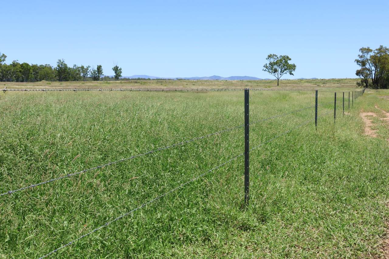 32221 Capricorn Highway, Willows Sold by Farmbuy.com - image 10